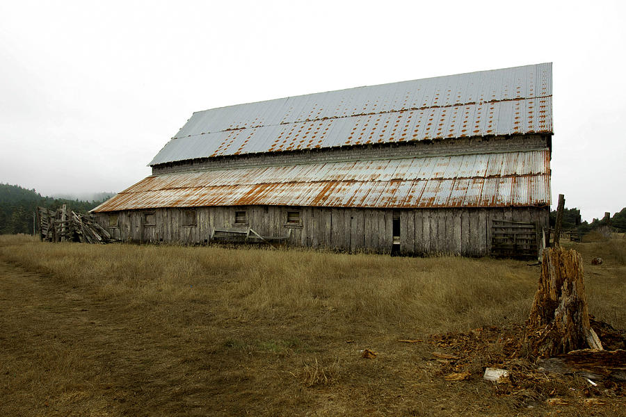 Forgotten Farmstead Photograph by Kandy Hurley