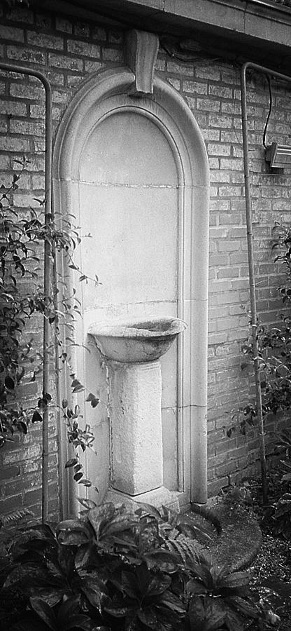 Forgotten Fountain Photograph by HW Kateley