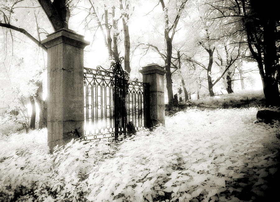 Black And White Photograph - Forgotten Gate by Thomas Shanahan