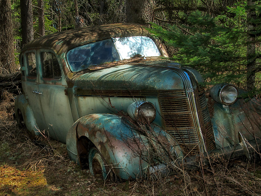 Forgotten in the Forest Photograph by Trever Miller
