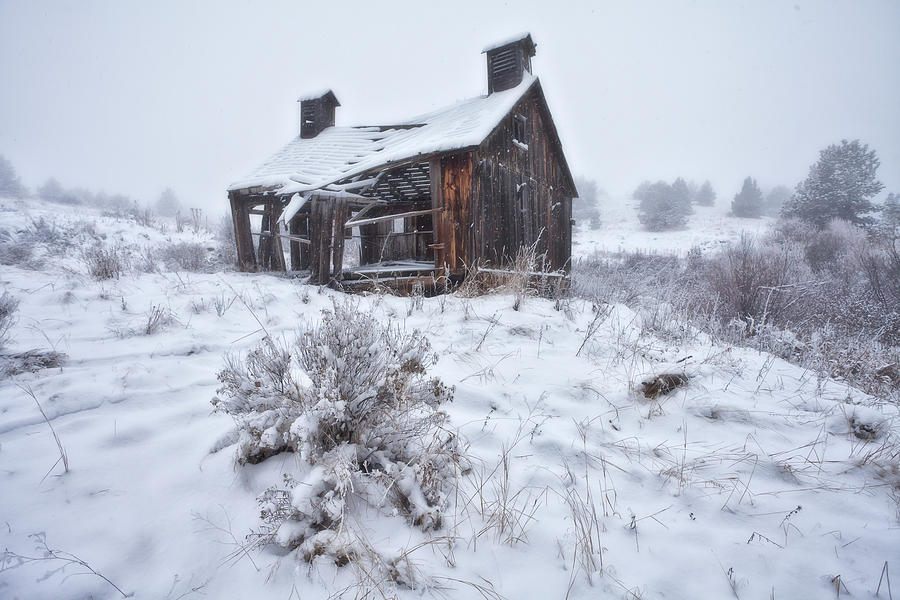 Winter Photograph - Forgotten in Time by Darren White