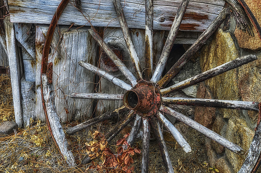 Forgotten Wheel Photograph by Camille Lopez