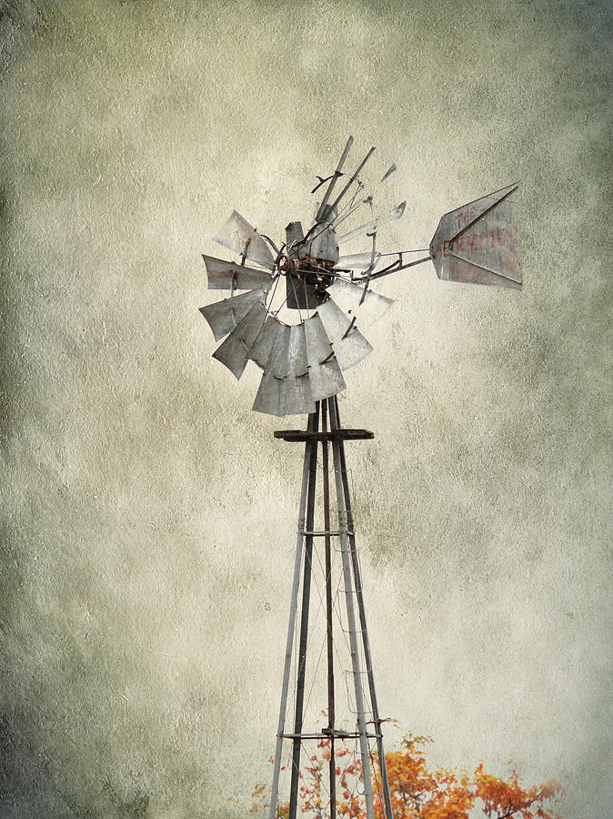Forgotten Windmill Photograph by Steve McKinzie