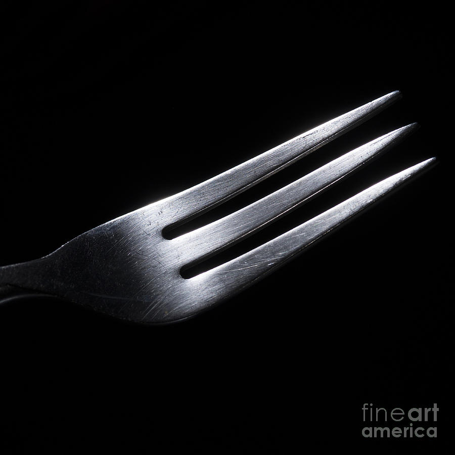 Fork Photograph by Art Whitton