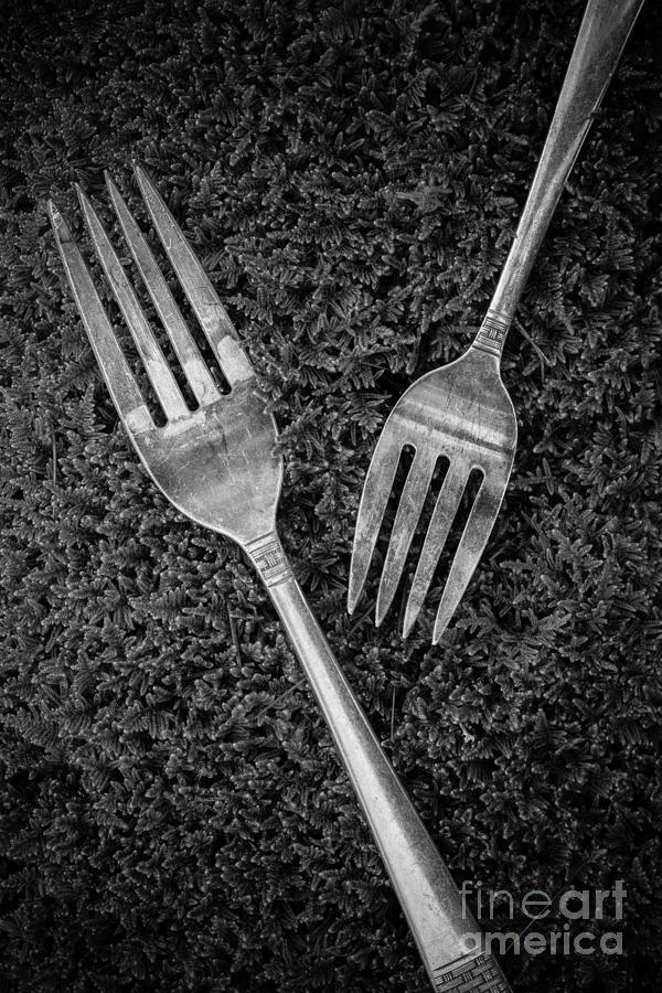 Fork Still Life Black and White Photograph by Edward Fielding