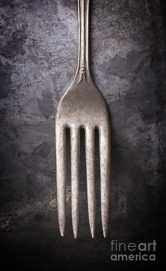 Fork Still Life Photograph by Edward Fielding