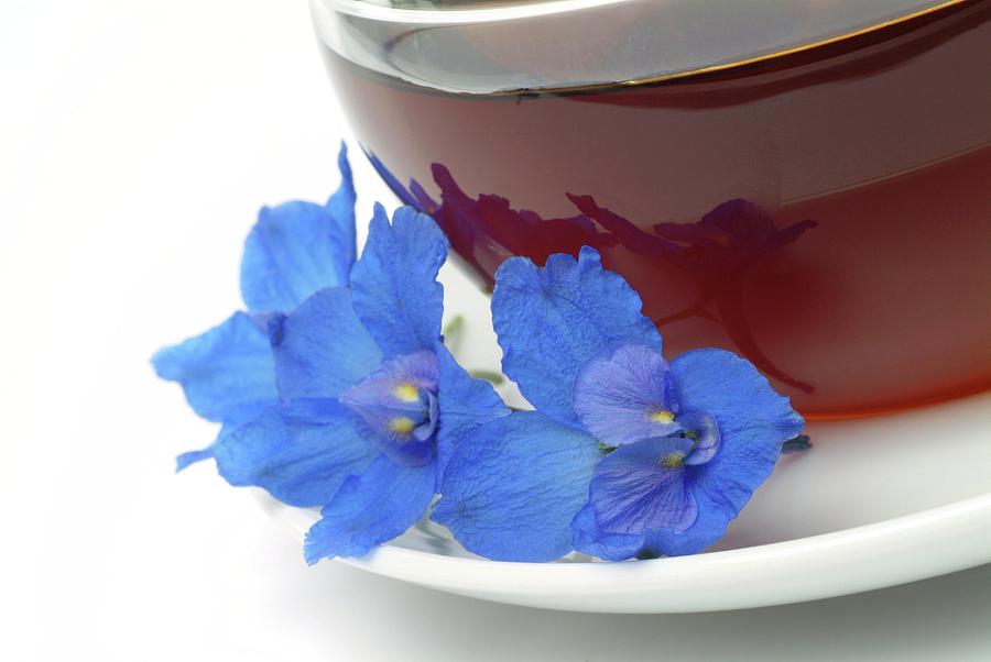 Tea Photograph - Forking Larkspur Herbal Tea by Bildagentur-online/th Foto/science Photo Library