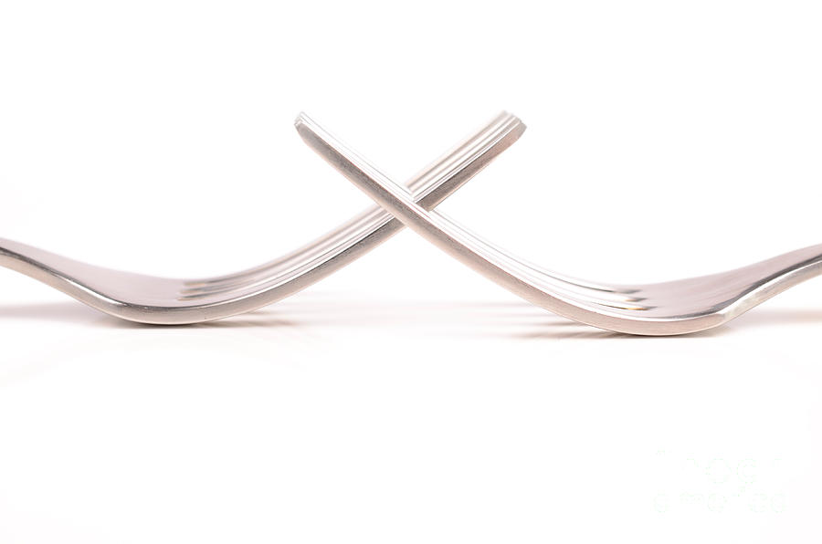 Forks I Photograph by Andreas Berheide