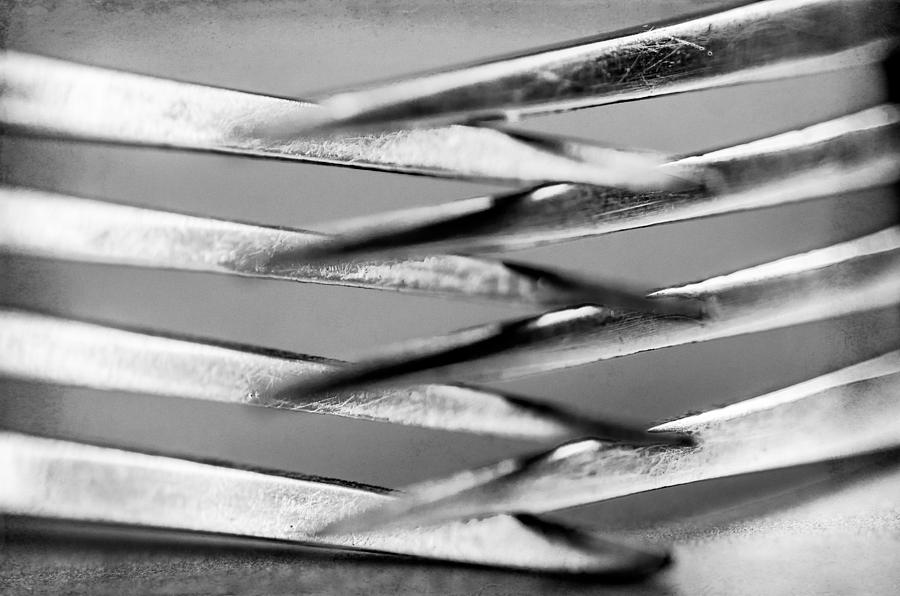 Forks  Photograph by Martina Fagan