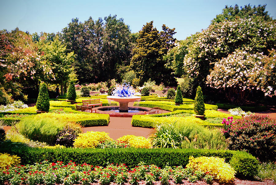 Formal Garden Photograph by Mike Andre | Fine Art America