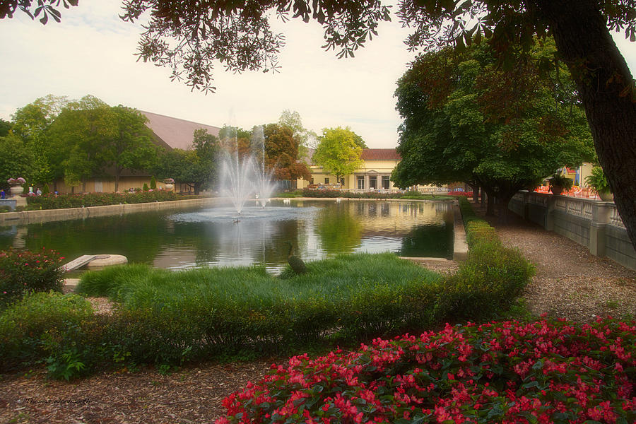 Formal Pond At Brookfield Zoo Photograph by Thomas Woolworth