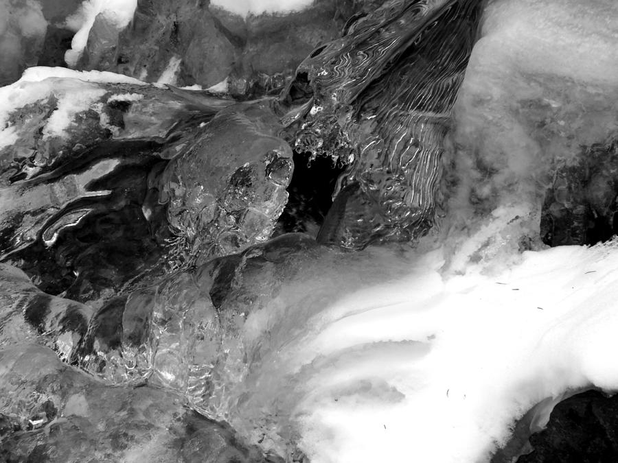 Winter Photograph - Formed ice skull by Thomas Samida