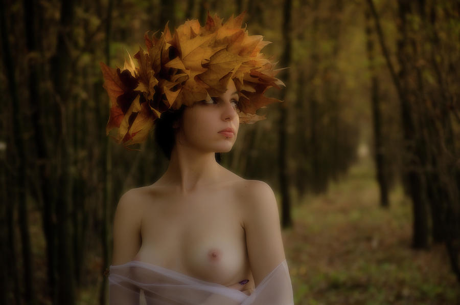 Fall Photograph - Forrest Nymph by Tibor Arva