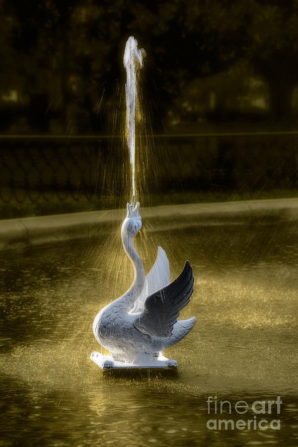 Forsyth Fountain Swan Savannah Photograph by Henry Kowalski