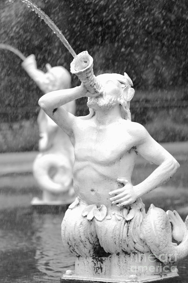 Forsyth Park Fountain - Black and White 1 2X3 Photograph by Carol Groenen