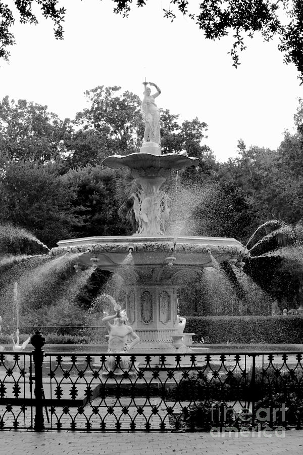 Forsyth Park Fountain - Black and White 2X3 Photograph by Carol Groenen
