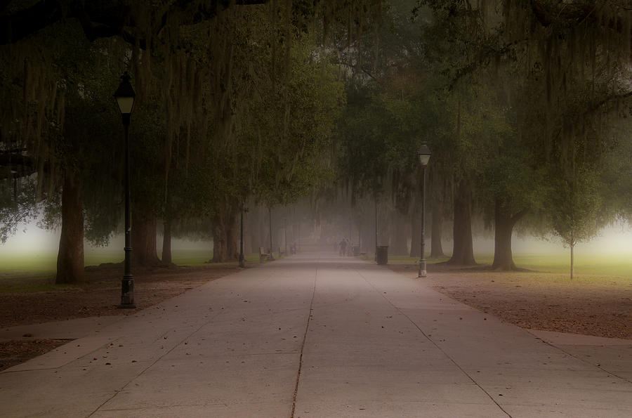 Forsyth Park Pathway Photograph by Frank Bright