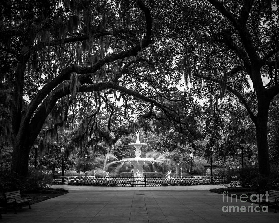 Forsyth Park Photograph by Perry Webster