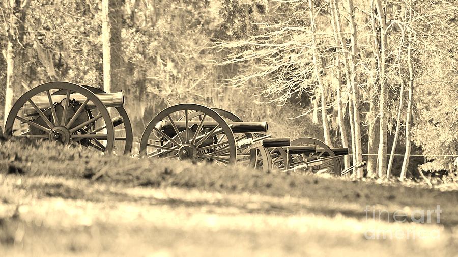 Fort Anderson Civil War Cannons In Sepia Photograph by Jocelyn Stephenson
