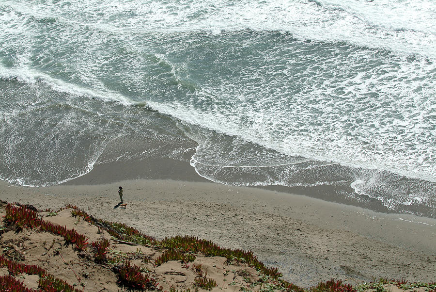 San Francisco Photograph - Fort Funston Beach by Wesley Elsberry