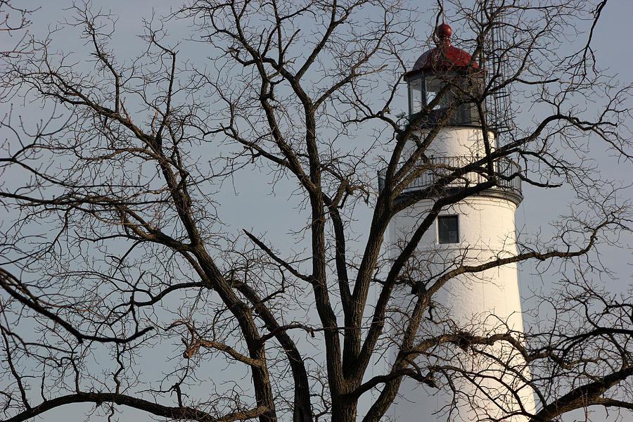 Fort Gratiot Light through Tree Photograph by Mary Bedy