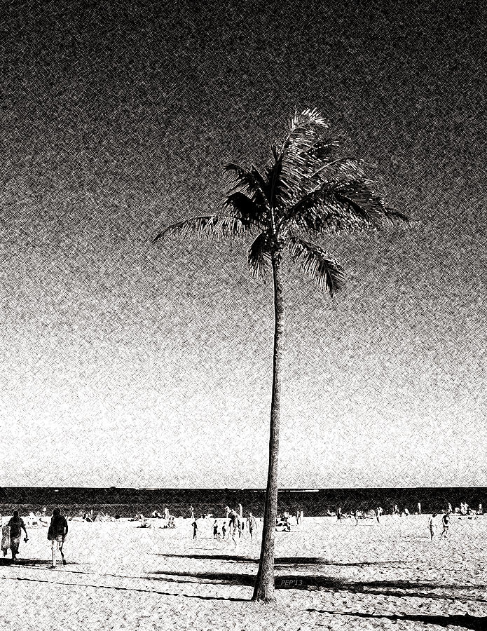 Fort Lauderdale Palm Tree Digital Art by Phil Perkins