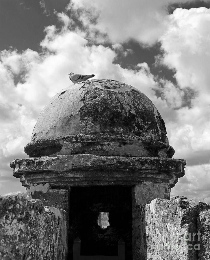 Fort Pigeon in BW Photograph by Mary Haber