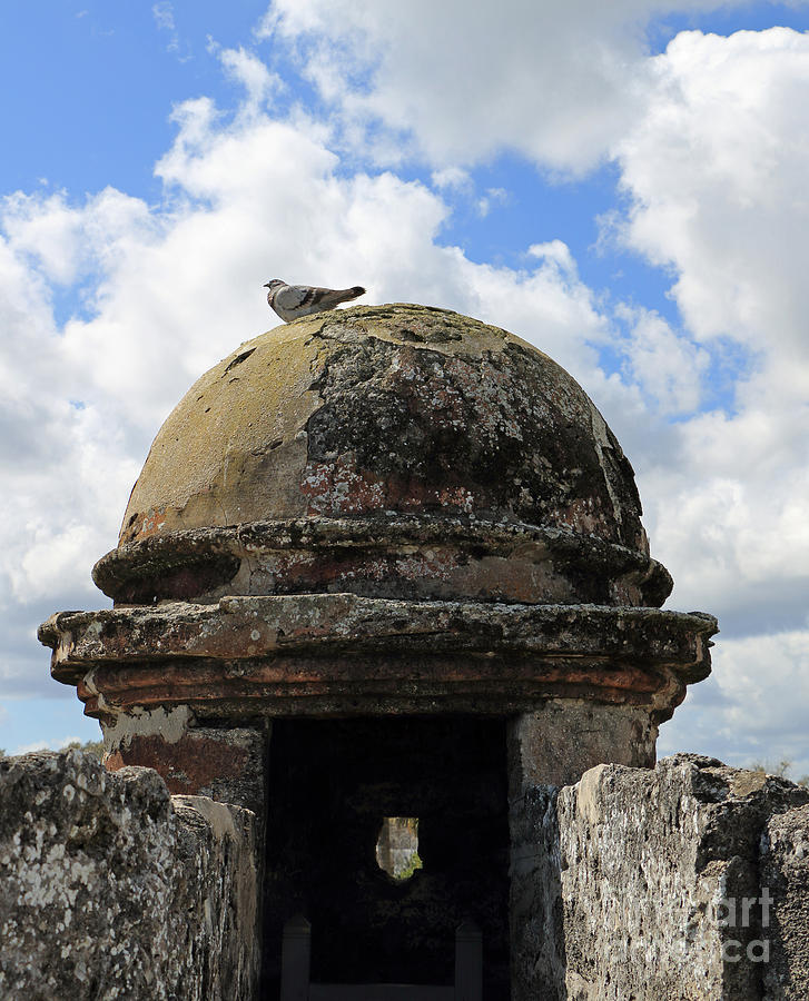 Fort Pigeon Photograph by Mary Haber