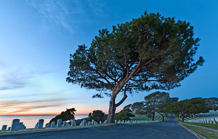 Fort Rosecrans National Cemetery Photograph by Alexis Birkill