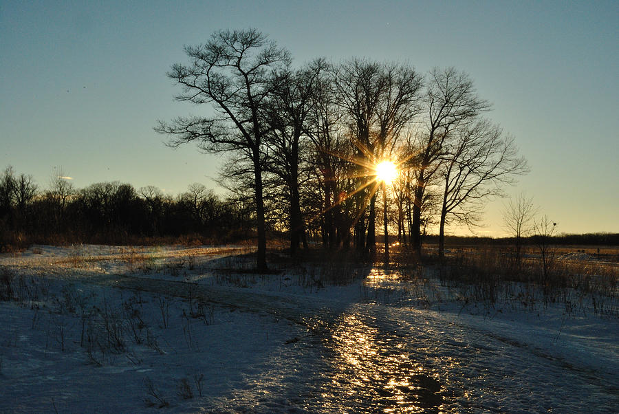 Fort Sheridan Forest preserve Photograph by Jose Sandoval - Fine Art ...