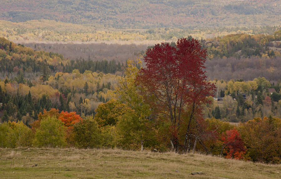 Fort Stewart Autumn Landscape Photograph by Jim Vance