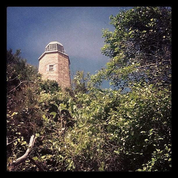 Lighthouse Photograph - Fort Story, Va - Thicket by Trey Kendrick