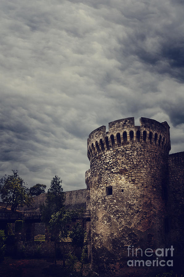 Fortress Photograph by Jelena Jovanovic