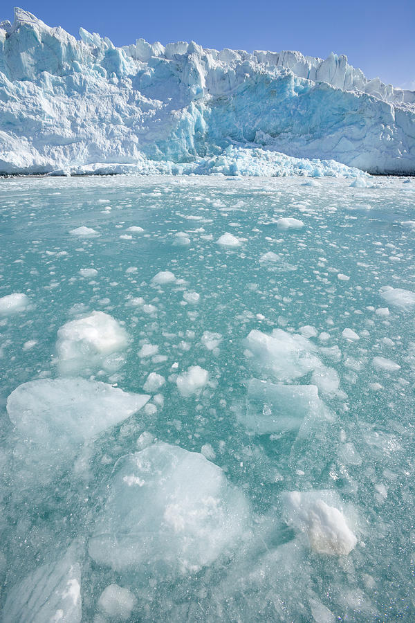 Fortuna Glacier Descending To Antarctic Photograph by 