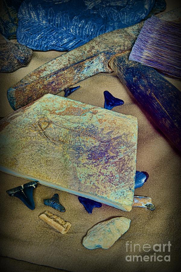 Fossil Hunter - The Paleontologist Photograph by Paul Ward - Fine Art