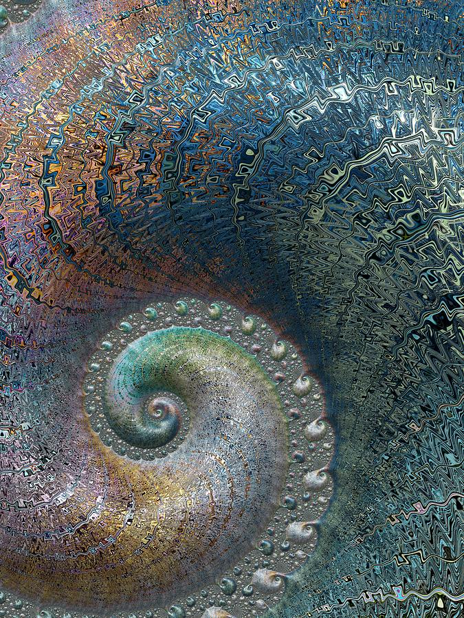 Fossil Spiral Digital Art by Amanda Moore