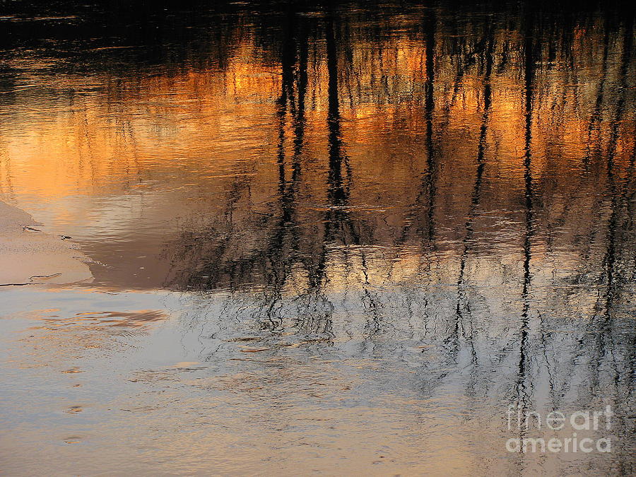 Foster Sunset Abstract Photograph by Lili Feinstein