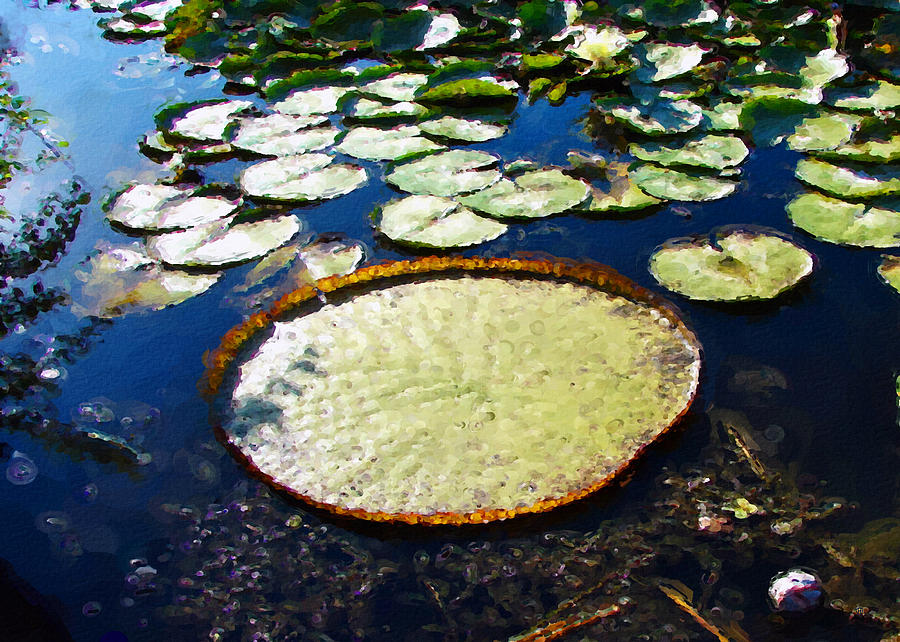 Foul Ball and the Lily Pads Digital Art by Gary Olsen-Hasek