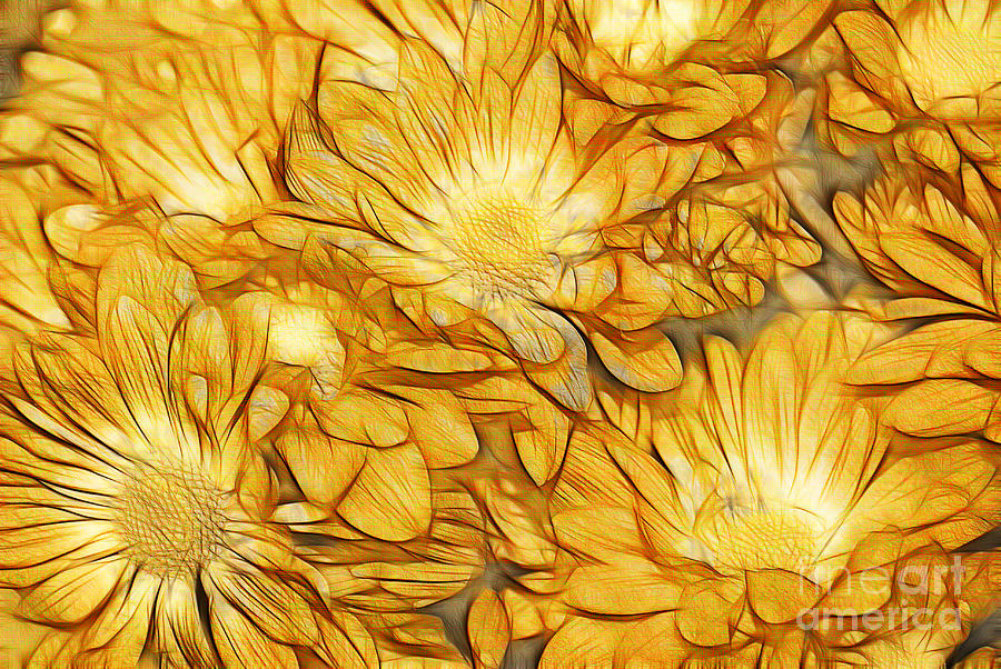 Daisy Digital Art - Foulee de Petales - tuy33b by Variance Collections