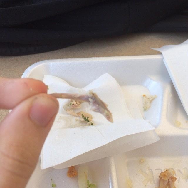Disgusting Photograph - Found A Bone In My Chicken Noodle Soup by Sean Fredriksen