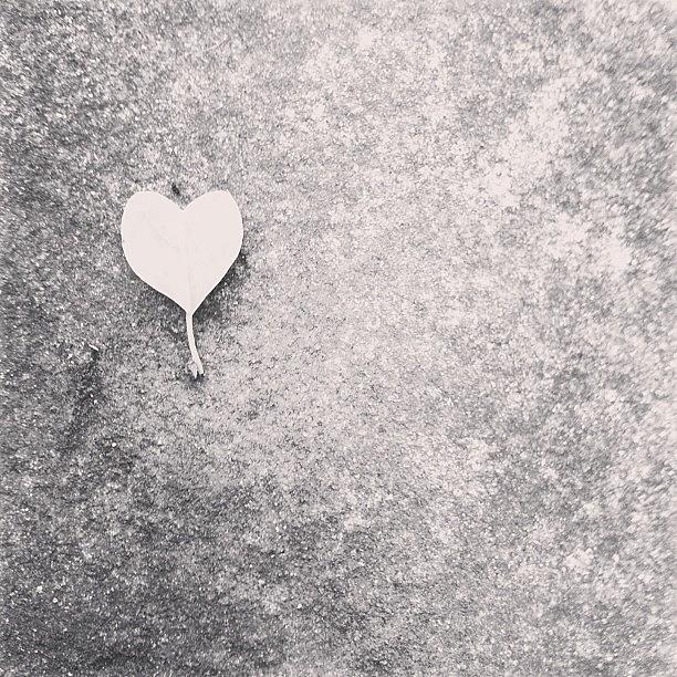 Nature Photograph - Found A Leaf Shaped Like A Heart Today by Yana Galanin