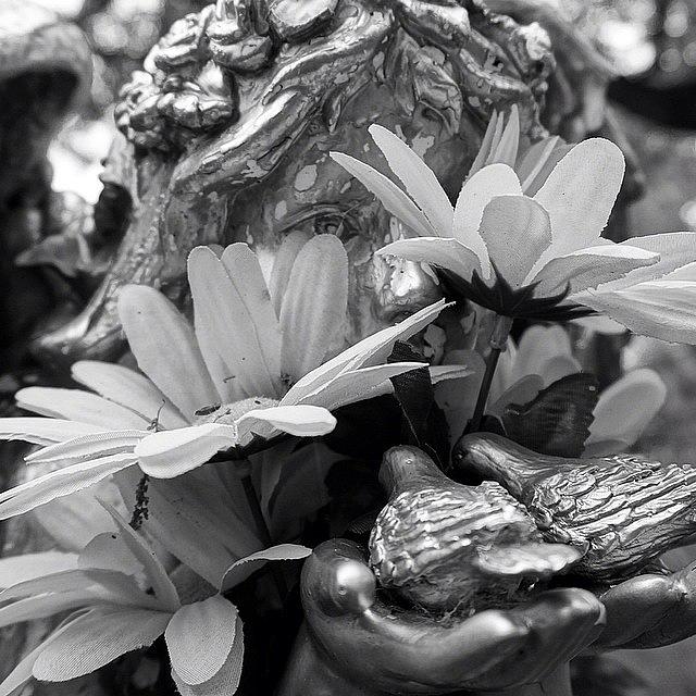 Flower Photograph - Found In A Cemetery. #grave #statue by Traci Law