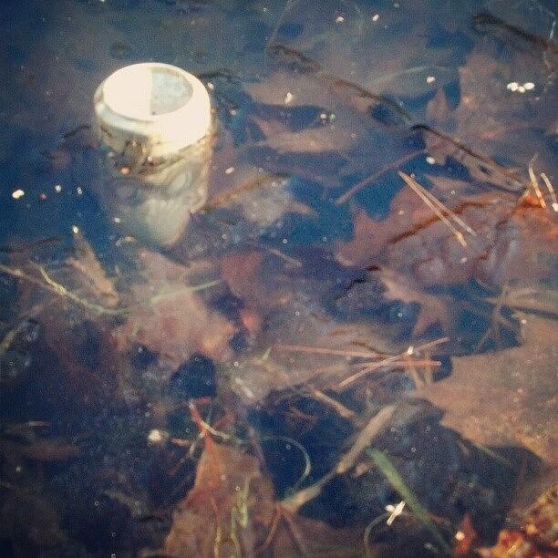 Found What Froze The Pond.... Someone Photograph by Tyler Foran
