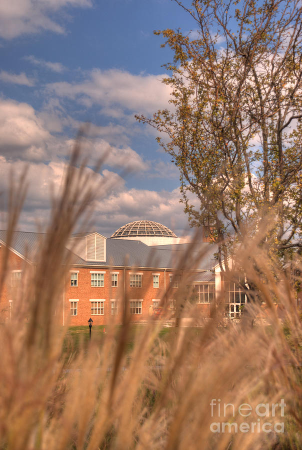 Founders Hall through the grasses Photograph by Mark Dodd