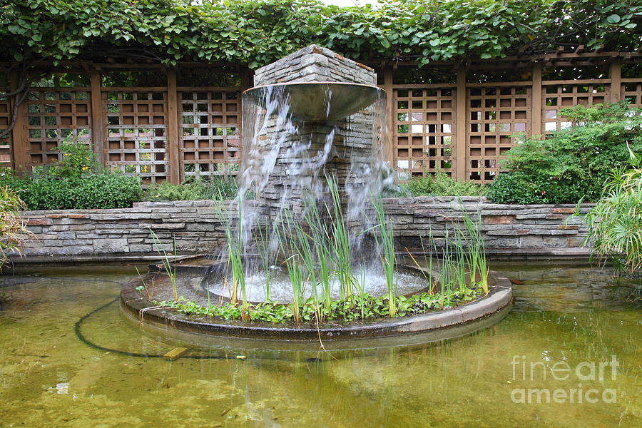 Fountain At The Historic Luther Burbank Home and Gardens Santa Rosa California 5D25913 Photograph by Wingsdomain Art and Photography