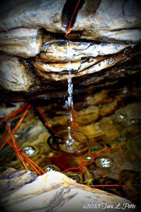Fountain Drops Photograph by Tara Potts
