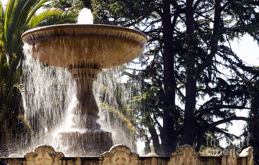 Fountain Higlights Photograph by Juan Romagosa | Fine Art America