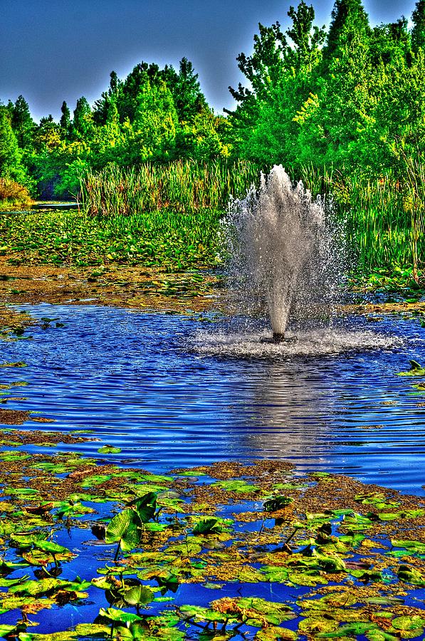 Fountain in a Pond Photograph by Richard Zentner