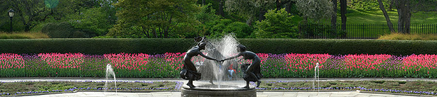 Fountain in Central Park Photograph by Yue Wang