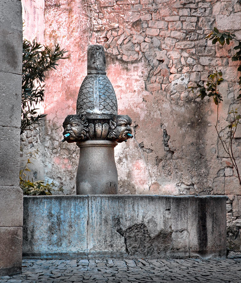Fountain In Provence Photograph by Dave Mills